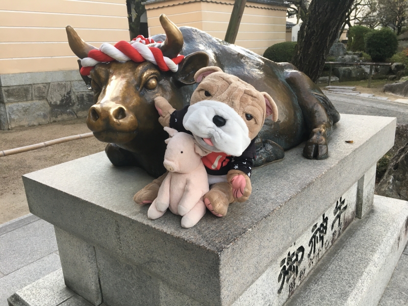 随時出発］縁結び！開運招福！ パワースポット神社巡りツアーin